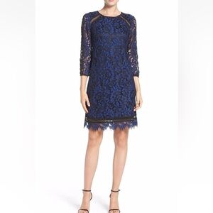 Eliza J Blue and Black Lace Dress
